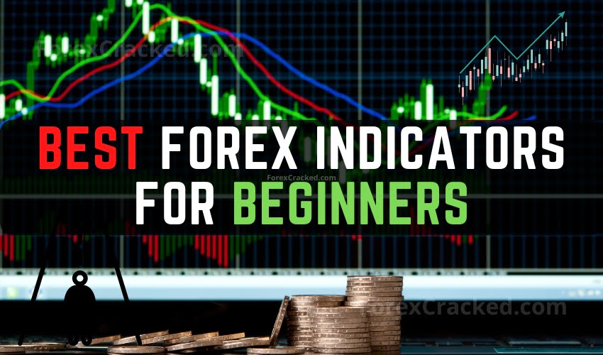 FP Markets Forex & CFD Trading
